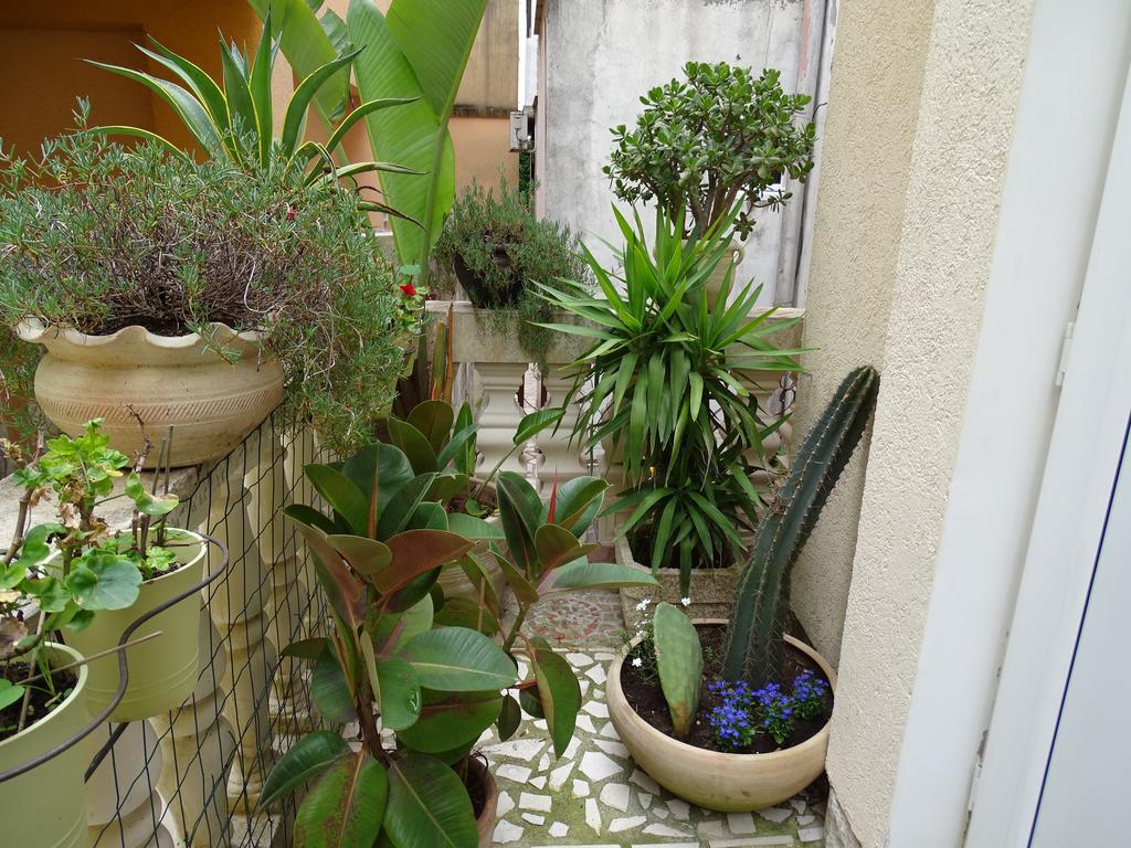 Apartament - Lisa Budva Ngoại thất bức ảnh